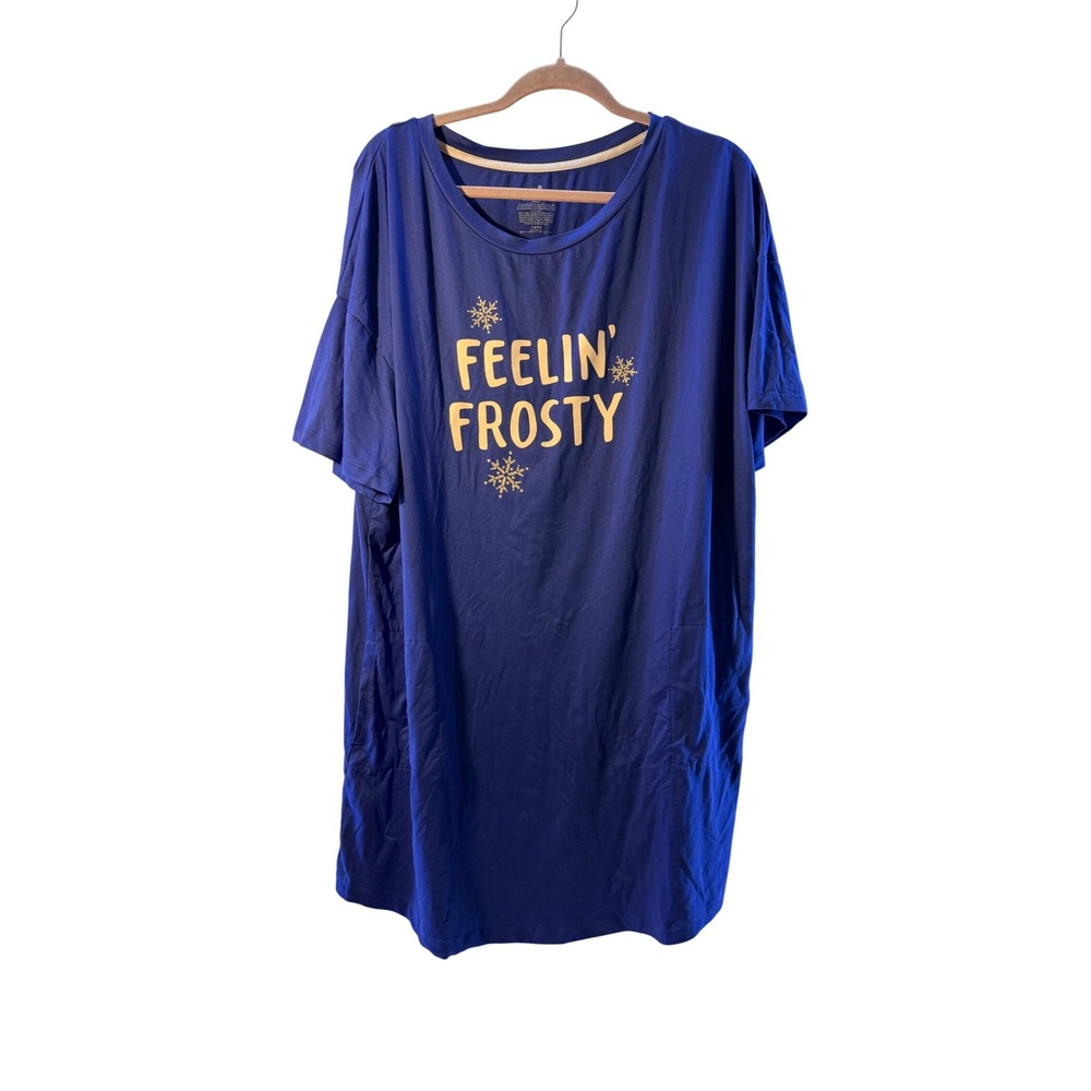 Secret Treasures Womens‎ L/XL Blue Feelin Frosty Sleepshirt Nightgown Snowflake